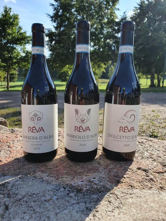 3-pack vin från Réva, La Morra Piemonte